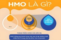 HMO là gì? Định nghĩa, tác dụng và cách bổ sung HMO cho bé